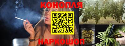 ALPHA PVP Гусев