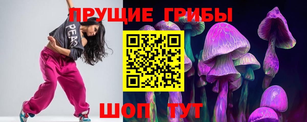 Назарово  Псилоцибиновые грибы прущие грибы  Псилоцибиновые грибы прущие грибы  Вход с VPN 
