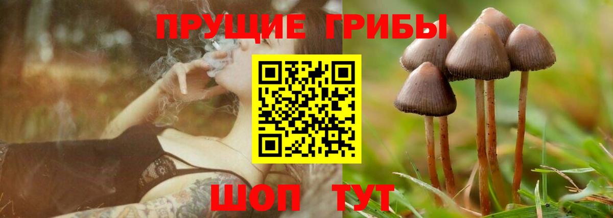 Галлюциногенные грибы ЛСД Назарово